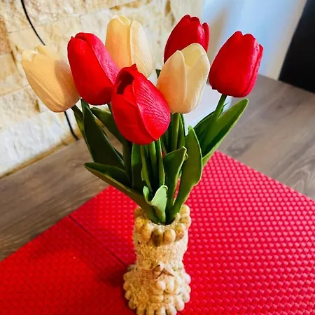 Am Apartment Kopaonik