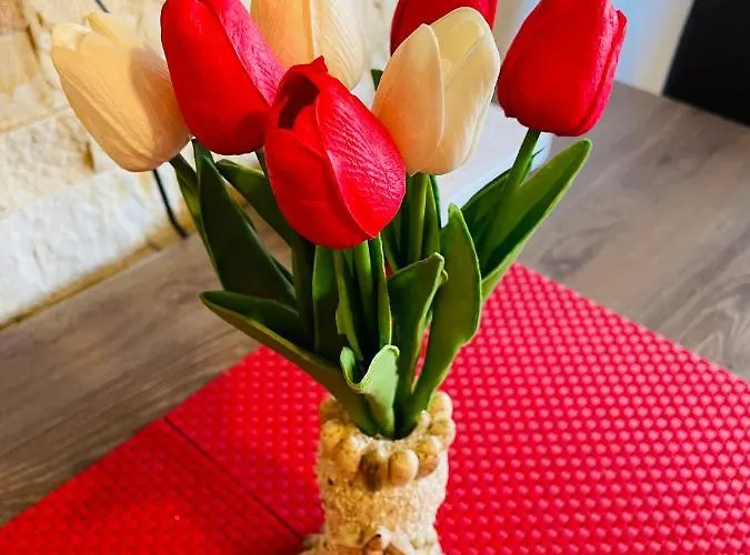 Am 公寓 科帕奥尼克