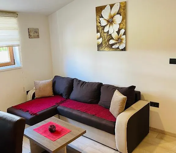 Am * 科帕奥尼克