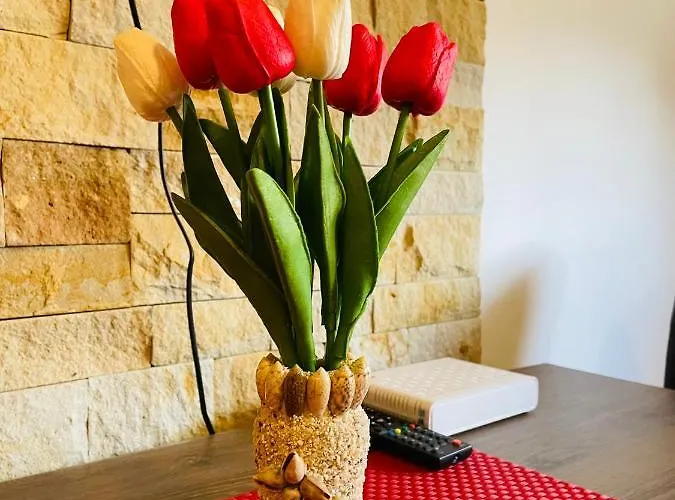 Am 公寓 科帕奥尼克